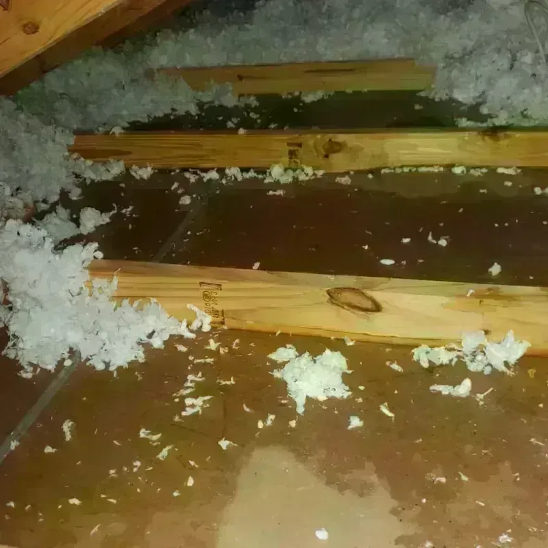 Attic Water Damage in Enfield, ME